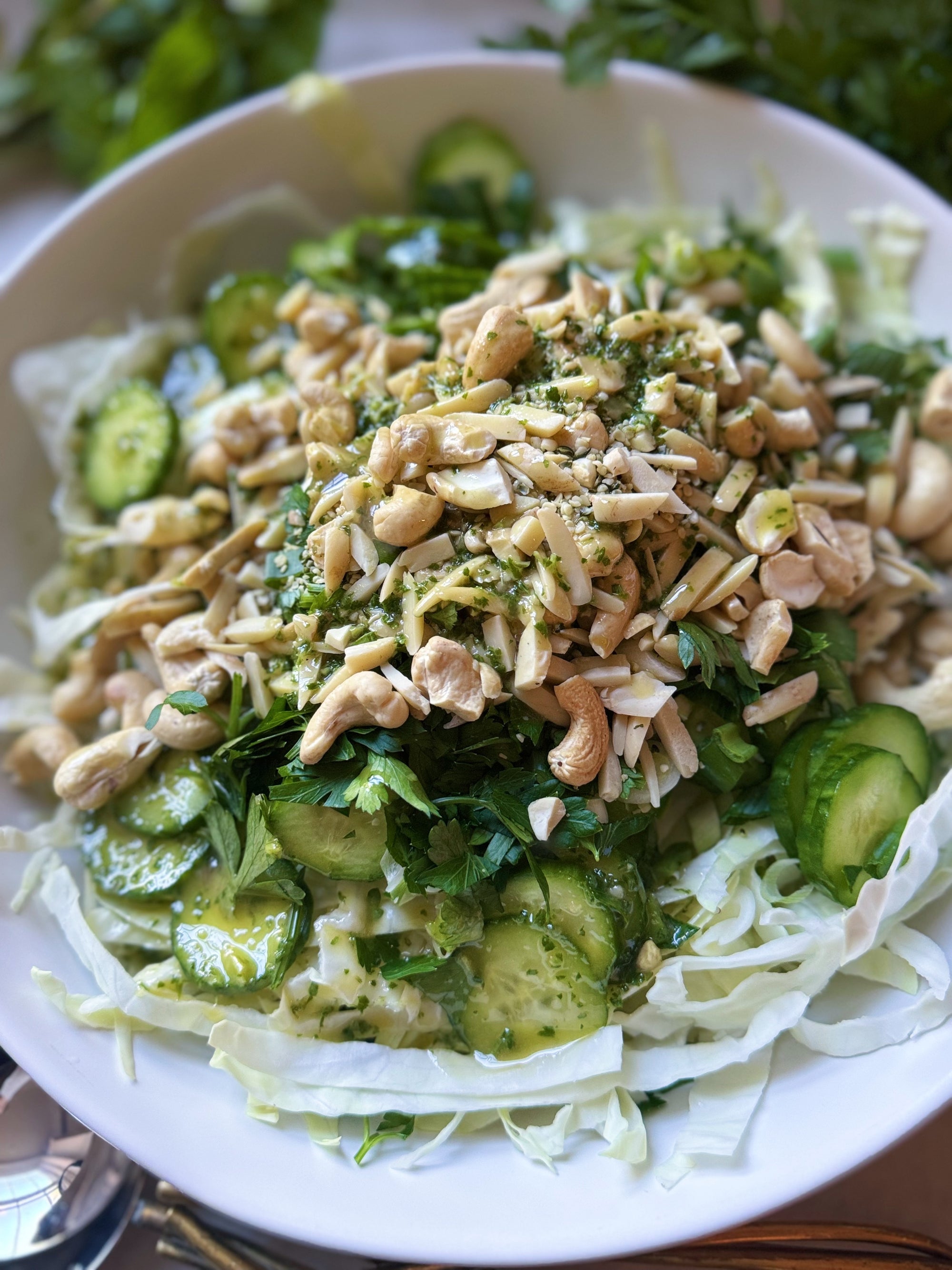 Crunchy Cabbage & Cucumber Salad w/ Honey Mint Dressing